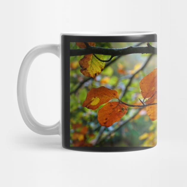 Colorful Autumn Leaves on Tree Branch by Harmony-Mind